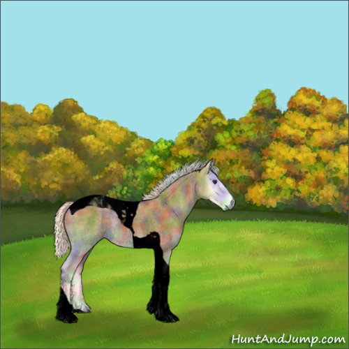 Horse Color:Void Nacre Palomino Roan Onyx Tobiano
