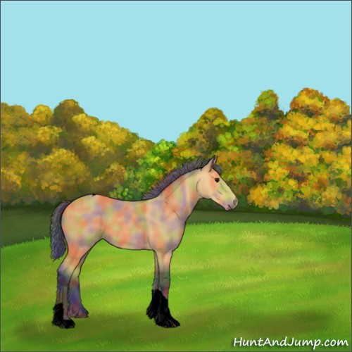 Horse Color:Void Nacre Buckskin Roan Tobiano