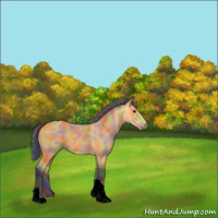 Horse Color:Void Nacre Buckskin Roan Tobiano 