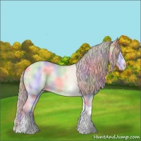 Horse Color:Nacre Perlino Onyx Tobiano 