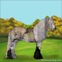 Horse Color:Void Nacre Palomino Roan Onyx Tobiano 