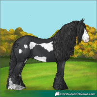 Horse Color:Black  and Black Frame 