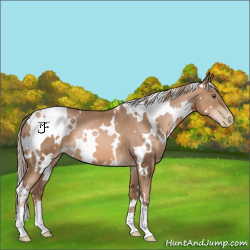 Horse Color:White Spotted Liver Chestnut Pearl 