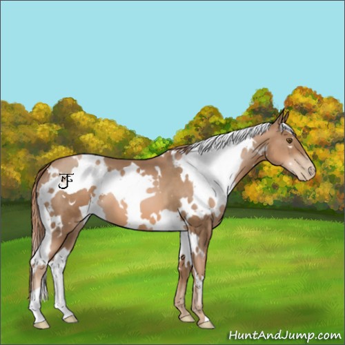 Horse Color:White Spotted Liver Chestnut Pearl 