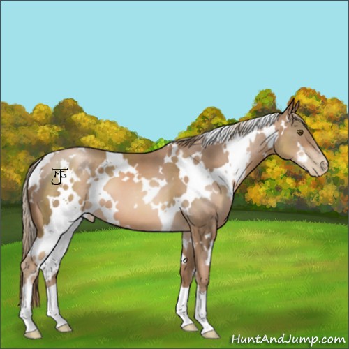 Horse Color:White Spotted Liver Chestnut Pearl 