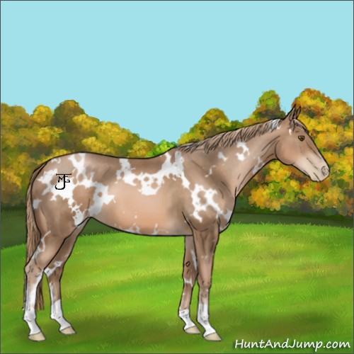 Horse Color:White Spotted Liver Chestnut Pearl 