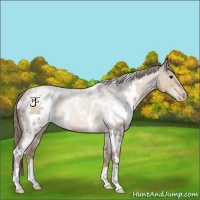 Horse Color:White Spotted Brown Pearl 