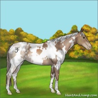 Horse Color:White Spotted Black Pearl