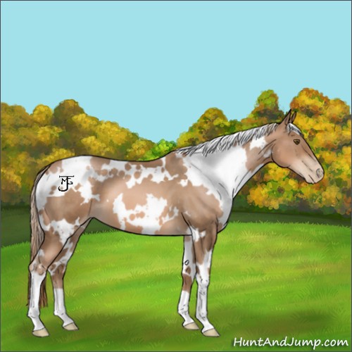 Horse Color:White Spotted Liver Chestnut Pearl 
