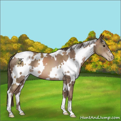 Horse Color:White Spotted Black Pearl 