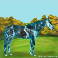 Horse Color:Void Thunderstruck White Spotted Liver Red Onyx Ice Tobiano Snowcap