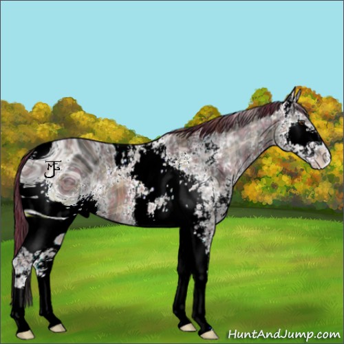 Horse Color:ERROR: UNKNOWN ANOMALY