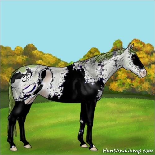 Horse Color:ERROR: UNKNOWN ANOMALY