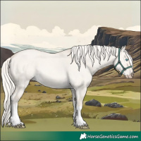 Horse Color:Cremello Dun Tobiano 