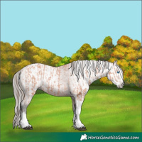 Horse Color:Bay Splash Tobiano Varnish  and Gray Bay Splash Tobiano Varnish 
