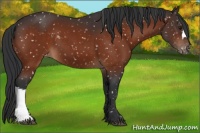 Horse Color:Brown Snowflake Varnish 