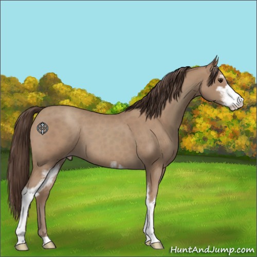 Horse Color:Classic Champagne Roan Sabino 