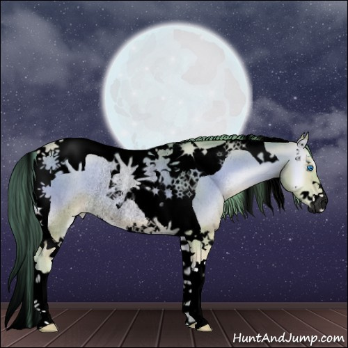Horse Color:Void Watercolor Buckskin Pearl Onyx Splash Tobiano Rabicano