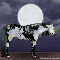 Horse Color:Void Watercolor Buckskin Pearl Onyx Splash Tobiano Rabicano 