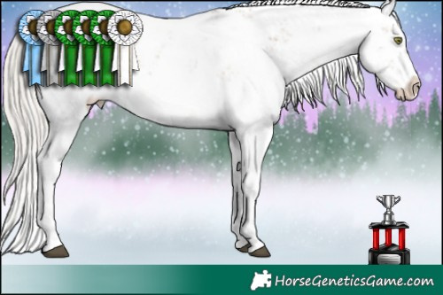 Horse Color:White Spotted Silver Brown Pearl Sabino