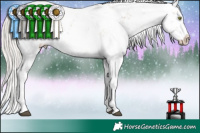 Horse Color:White Spotted Silver Brown Pearl Sabino 