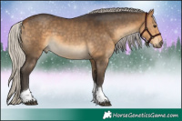 Horse Color:Silver Buckskin Sabino Tobiano 