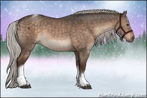 Horse Color:Silver Brown Dun Sabino Tobiano Rabicano 