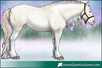 Horse Color:Palomino Roan Pearl Dun Splash Tobiano 