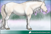 Horse Color:Palomino Roan Pearl Dun Splash Tobiano 