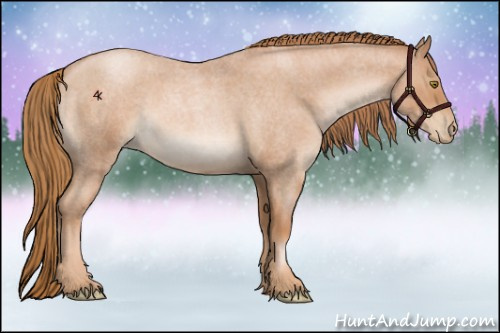 Horse Color:Red Roan Pearl 