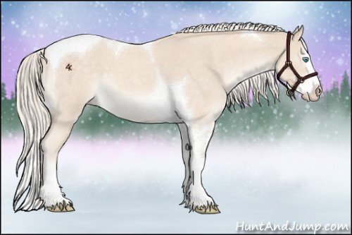Horse Color:Cremello Roan Splash Tobiano 