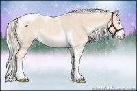 Horse Color:Cremello Roan Splash Tobiano