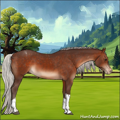 Horse Color:Silver Brown Tobiano Appaloosa 