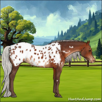 Horse Color:White Spotted Silver Brown Appaloosa 