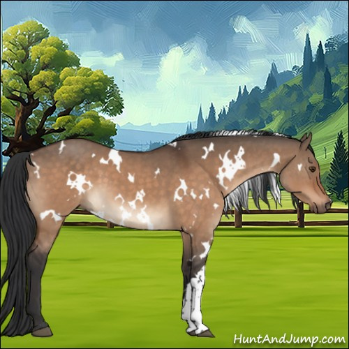 Horse Color:White Spotted Brown Dun