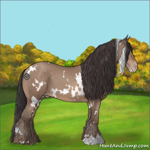 Horse Color:White Spotted Sable Champagne 