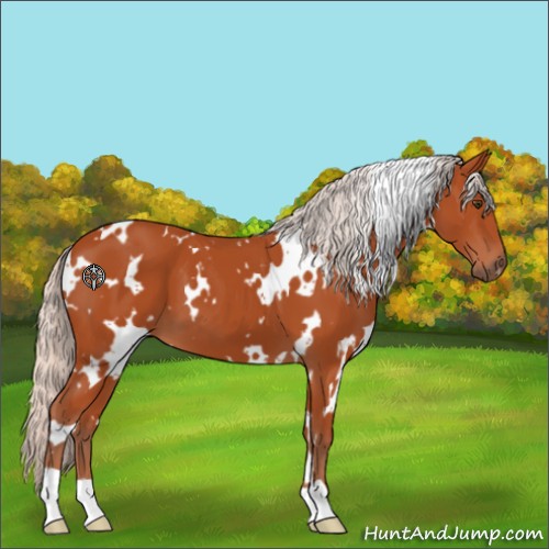 Horse Color:White Spotted Silver Brown 