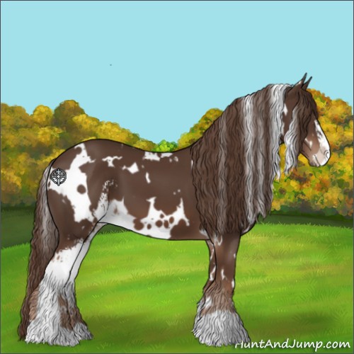 Horse Color:White Spotted Liver Chestnut Sabino 