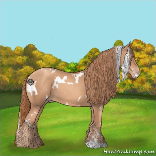 Horse Color:White Spotted Gold Champagne 