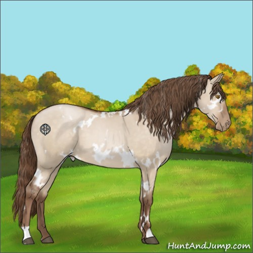 Horse Color:White Spotted Brown Pearl Dun 