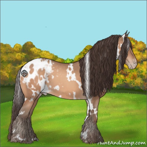 Horse Color:White Spotted Sable Champagne Appaloosa 