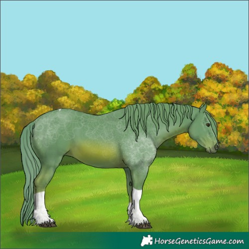 Horse Color:Watercolor Chestnut Tobiano 