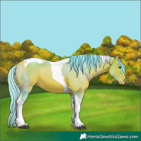 Horse Color:Watercolor Bay Tobiano Appaloosa 