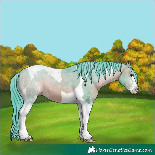 Horse Color:Watercolor Bay Sabino Tobiano Varnish