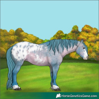 Horse Color:Watercolor Brown Dun Sabino Appaloosa 