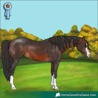 Horse Color:Brown 