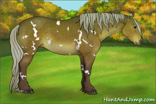 Horse Color:White Spotted Silver Brown 