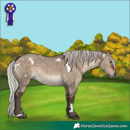 Horse Color:White Spotted Silver Brown Dun 
