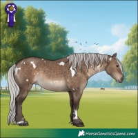 Horse Color:White Spotted Silver Brown Dun 