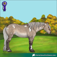 Horse Color:White Spotted Silver Brown Dun